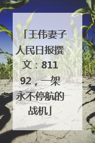 王伟妻子人民日报撰文：81192，一架永不停航的战机