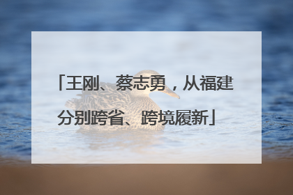 王刚、蔡志勇，从福建分别跨省、跨境履新