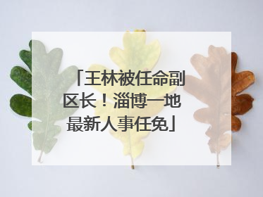 王林被任命副区长！淄博一地最新人事任免