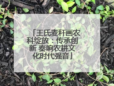 王氏麦秆画农科绽放：传承创新 奏响农耕文化时代强音