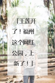 王莲开了！福州这个网红公园，上新了！