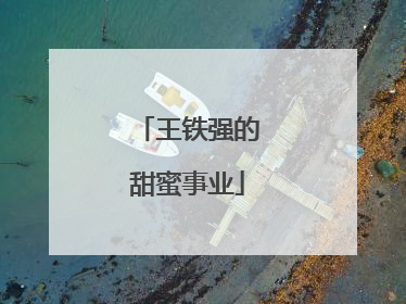王铁强的甜蜜事业