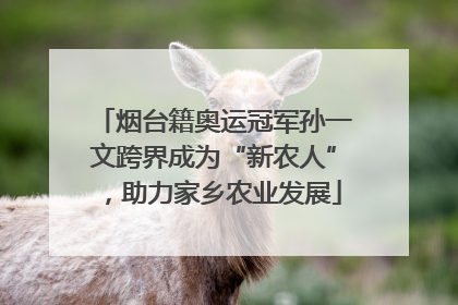 烟台籍奥运冠军孙一文跨界成为“新农人”，助力家乡农业发展