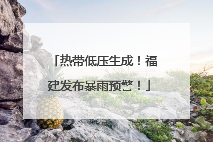 热带低压生成！福建发布暴雨预警！
