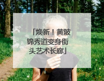 焕新！黄陂锦秀道变身街头艺术长廊