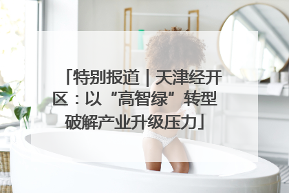 特别报道｜天津经开区：以“高智绿”转型破解产业升级压力