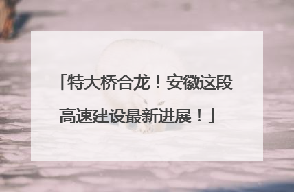 特大桥合龙！安徽这段高速建设最新进展！