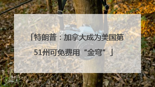 特朗普：加拿大成为美国第51州可免费用“金穹”