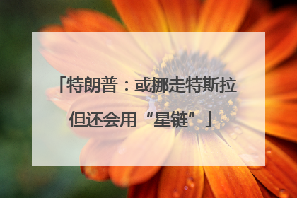 特朗普：或挪走特斯拉 但还会用“星链”