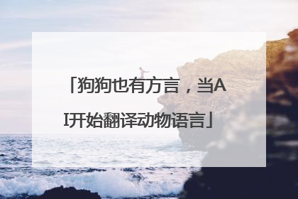 狗狗也有方言，当AI开始翻译动物语言