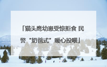 猫头鹰幼崽受惊拒食 民警“奶爸式”暖心投喂