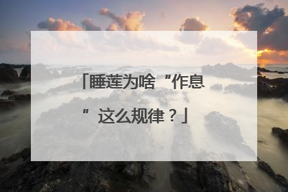睡莲为啥“作息”这么规律？
