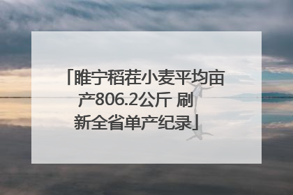 睢宁稻茬小麦平均亩产806.2公斤 刷新全省单产纪录