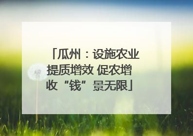 瓜州：设施农业提质增效 促农增收“钱”景无限