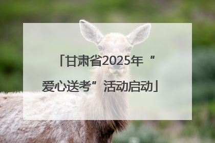 甘肃省2025年“爱心送考”活动启动