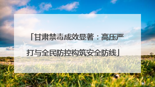 甘肃禁毒成效显著：高压严打与全民防控构筑安全防线