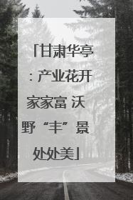 甘肃华亭：产业花开家家富 沃野“丰”景处处美