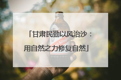 甘肃民勤以风治沙：用自然之力修复自然