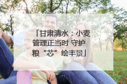 甘肃清水：小麦管理正当时 守护粮“芯”绘丰景