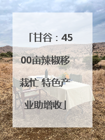 甘谷：4500亩辣椒移栽忙 特色产业助增收