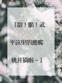 甜！脆！武平这里的鹰嘴桃开摘啦～