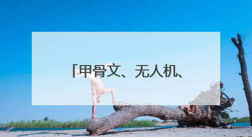 甲骨文、无人机、电子炮！2025年河南省六五环境日主场活动精彩纷呈