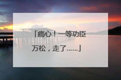 痛心！一等功臣万松，走了……