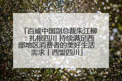 百威中国副总裁朱江柳：扎根四川 持续满足西部地区消费者的美好生活需求丨西望四川
