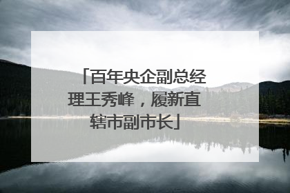 百年央企副总经理王秀峰，履新直辖市副市长
