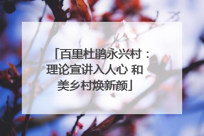 百里杜鹃永兴村：理论宣讲入人心 和美乡村焕新颜