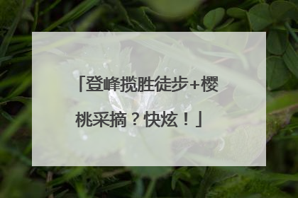 登峰揽胜徒步+樱桃采摘？快炫！