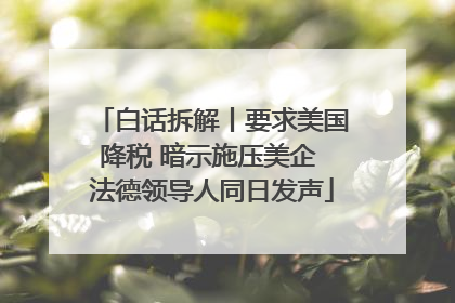 白话拆解丨要求美国降税 暗示施压美企 法德领导人同日发声