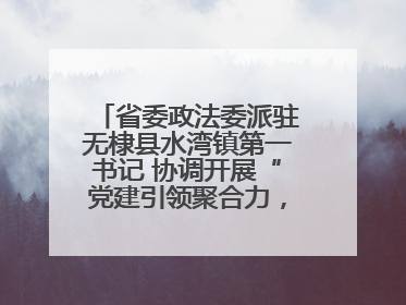 省委政法委派驻无棣县水湾镇第一书记 协调开展“党建引领聚合力，健康义诊惠乡亲”义诊活动