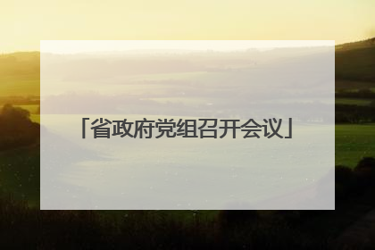 省政府党组召开会议