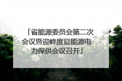 省能源委员会第二次会议暨迎峰度夏能源电力保供会议召开