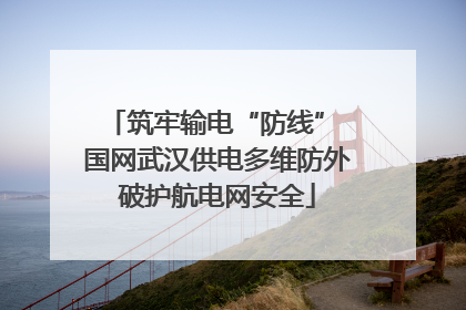 筑牢输电“防线” 国网武汉供电多维防外破护航电网安全