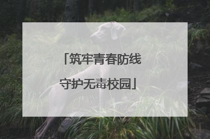 筑牢青春防线 守护无毒校园