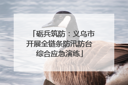 砺兵筑防：义乌市开展全链条防汛防台综合应急演练