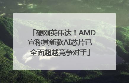 硬刚英伟达！AMD宣称其新款AI芯片已全面超越竞争对手