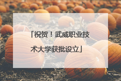 祝贺！武威职业技术大学获批设立