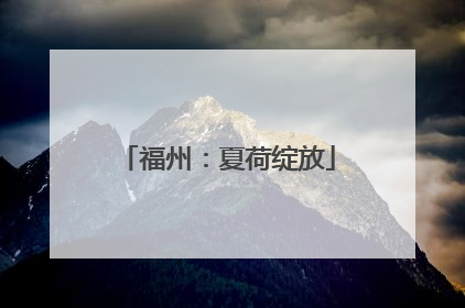 福州：夏荷绽放