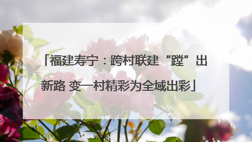 福建寿宁：跨村联建“蹚”出新路 变一村精彩为全域出彩