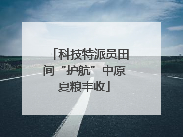 科技特派员田间“护航”中原夏粮丰收