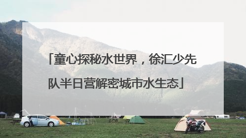 童心探秘水世界，徐汇少先队半日营解密城市水生态
