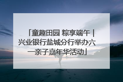 童趣田园 粽享端午｜兴业银行盐城分行举办六一亲子嘉年华活动