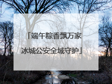 端午粽香飘万家 冰城公安全域守护