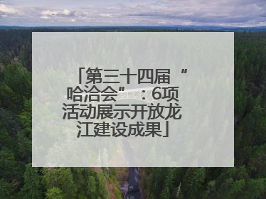 第三十四届“哈洽会”：6项活动展示开放龙江建设成果
