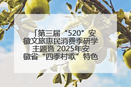 第三届“520”安徽文旅惠民消费季研学主题暨 2025年安徽省“四季村歌”特色展演燃动池州