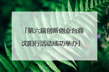第六届创新创业台商沈阳行活动成功举办