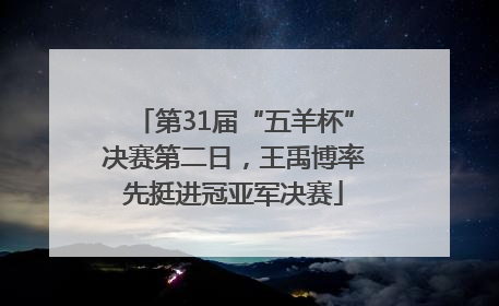 第31届“五羊杯”决赛第二日，王禹博率先挺进冠亚军决赛